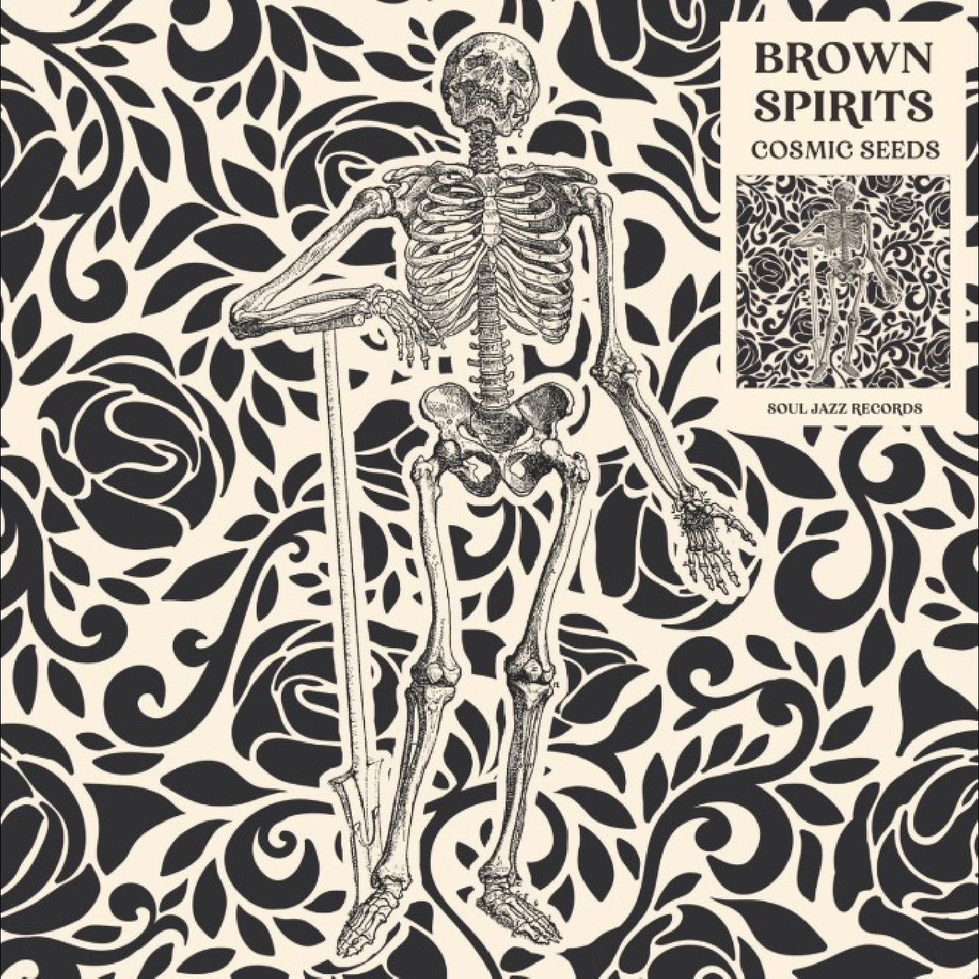 Brown Spirits - Cosmic Seeds (CD) |-
