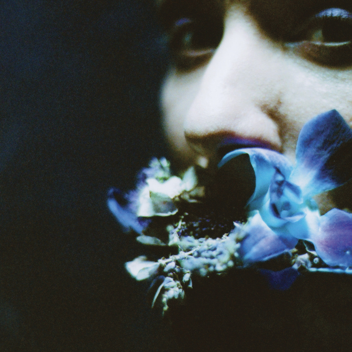 Circuit des Yeux - Reaching For Indigo |-