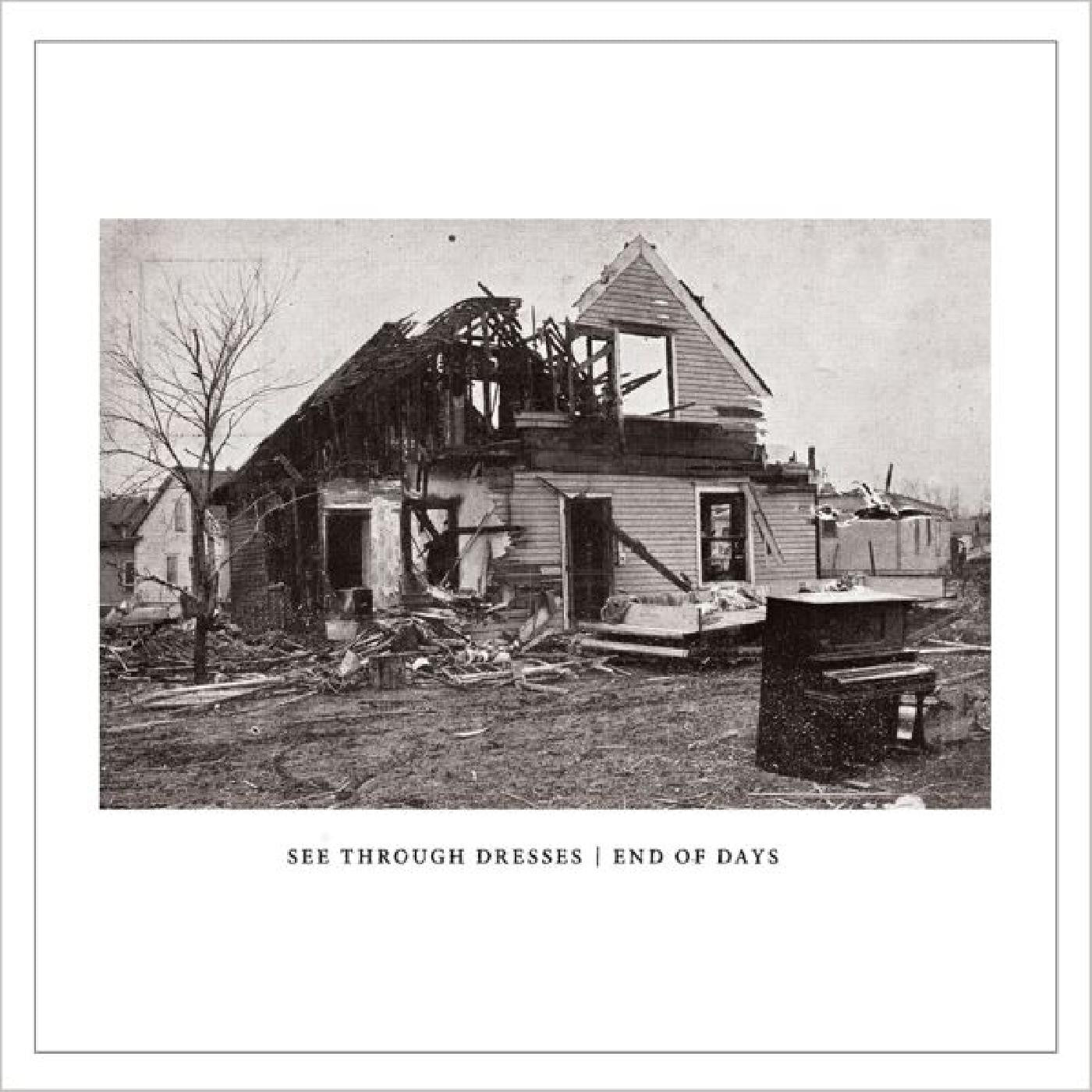 See Through Dresses - End Of Days EP (CLEAR VINYL) (Vinyl) | Mint (M) Mint (M)-