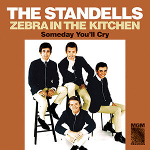 Standells, The - Zebra in the Kitchen / Someday You'll Cry |-