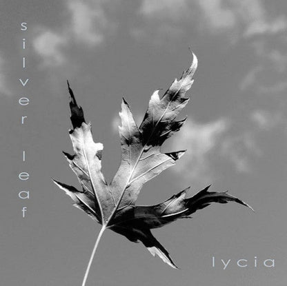 Black Mare - Low Crimes / Silver Leaf *GREY SWIRL*(VINYLY 7") | Mint (M) Mint (M)-