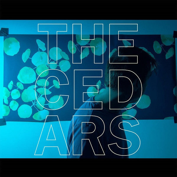 Vanderslice, John - The Cedars |-