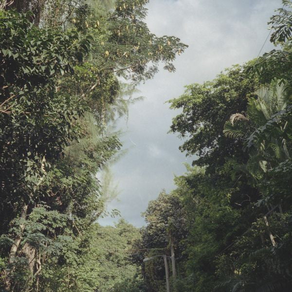 Nelson, Zac - New Once |-