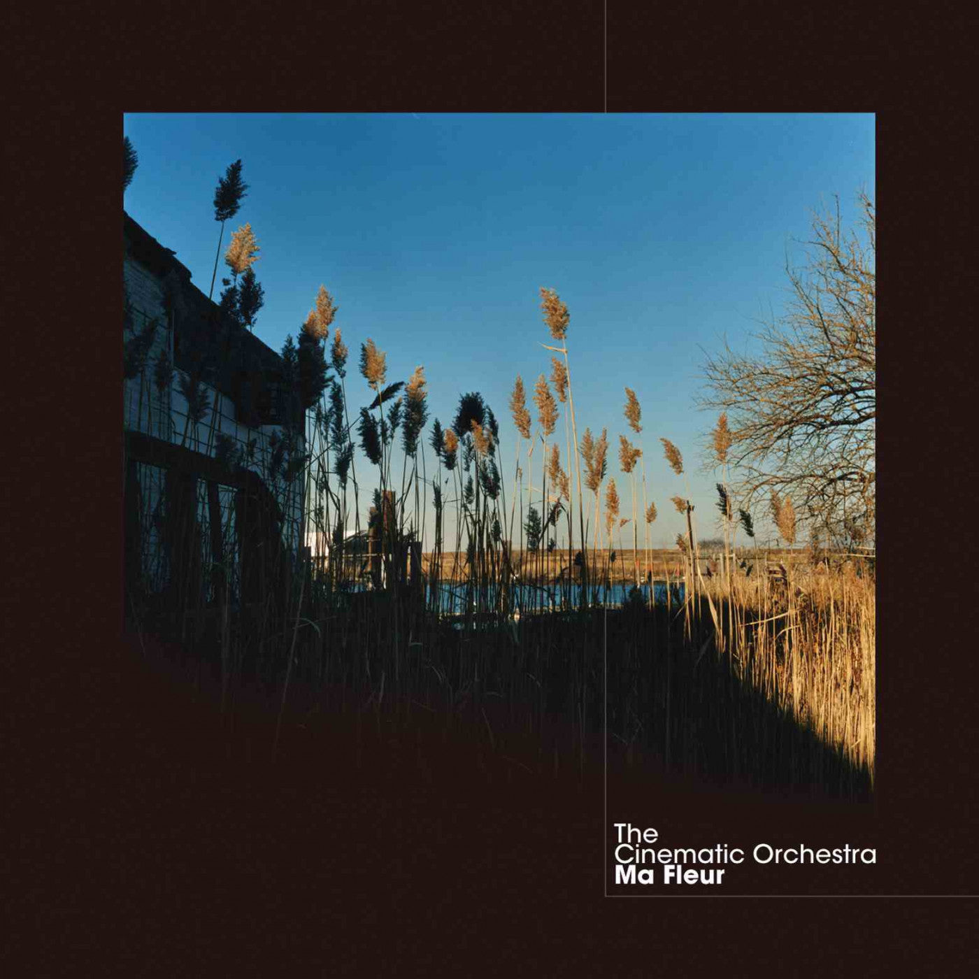 Cinematic Orchestra, The - Ma Fleur (CD) |-