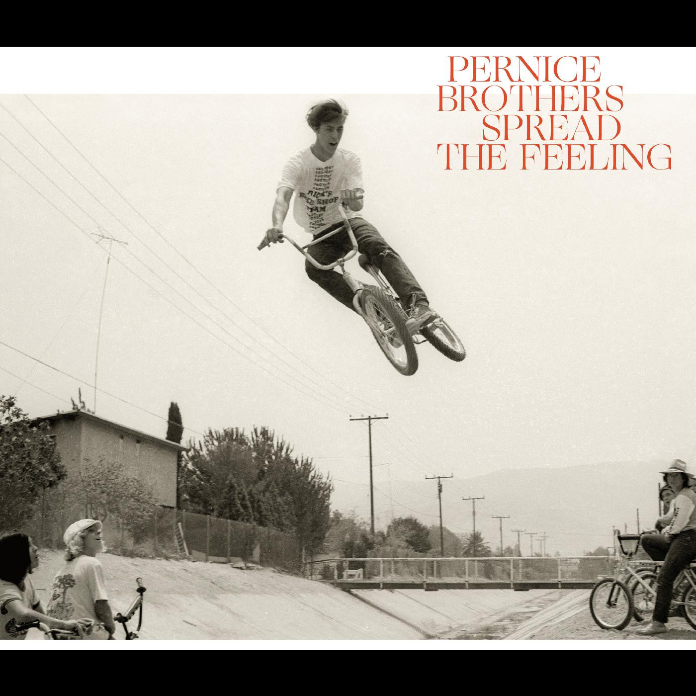 Pernice Brothers - Spread The Feeling (CD) |-