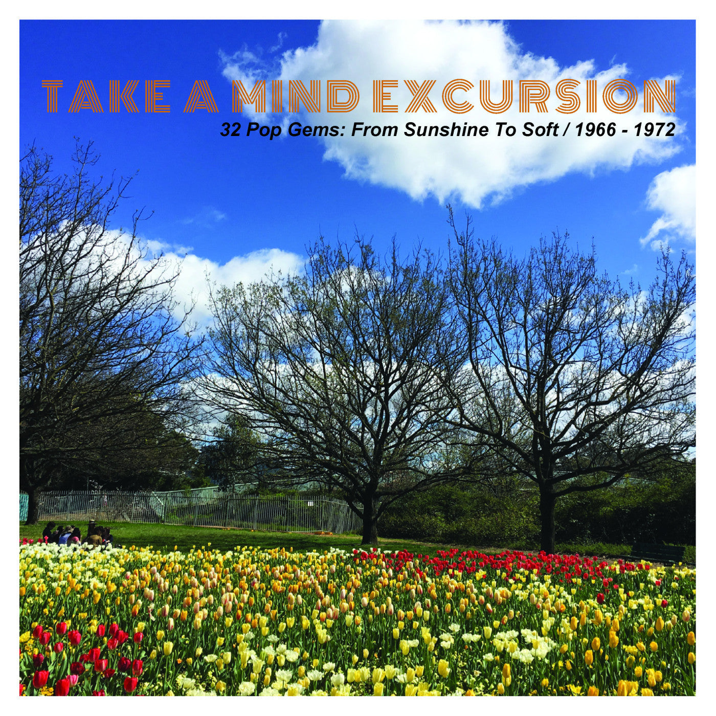 Various Artists - Take A Mind Excursion (32 Pop Gems: From Sunshine to Soft 1966-1972) (CD) | Mint (M) Mint (M)-