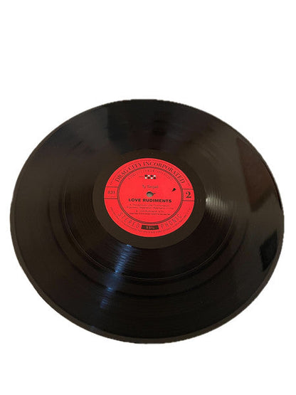 Ty Segall - Love Rudiments | Mint (M) Mint (M)-