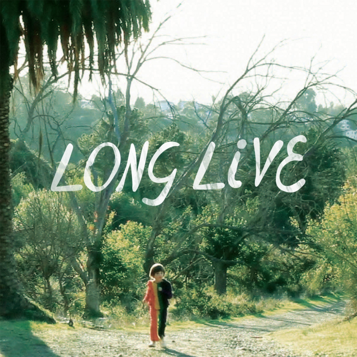 Snowblink - Long Live LP |-