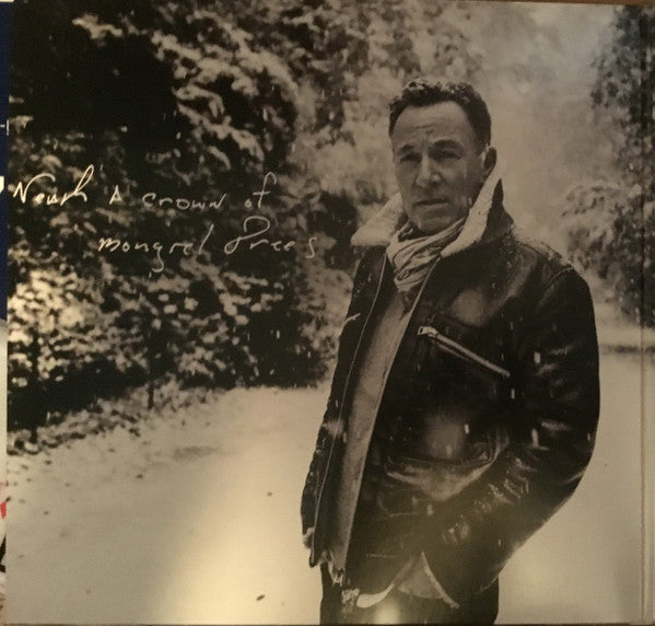 Bruce Springsteen - Letter To You (2xVINYL) | Mint (M) Mint (M)-