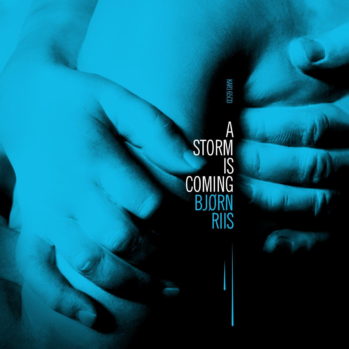 Riis, Bjorn - A Storm Is Coming (CD) | Mint (M) Mint (M)-