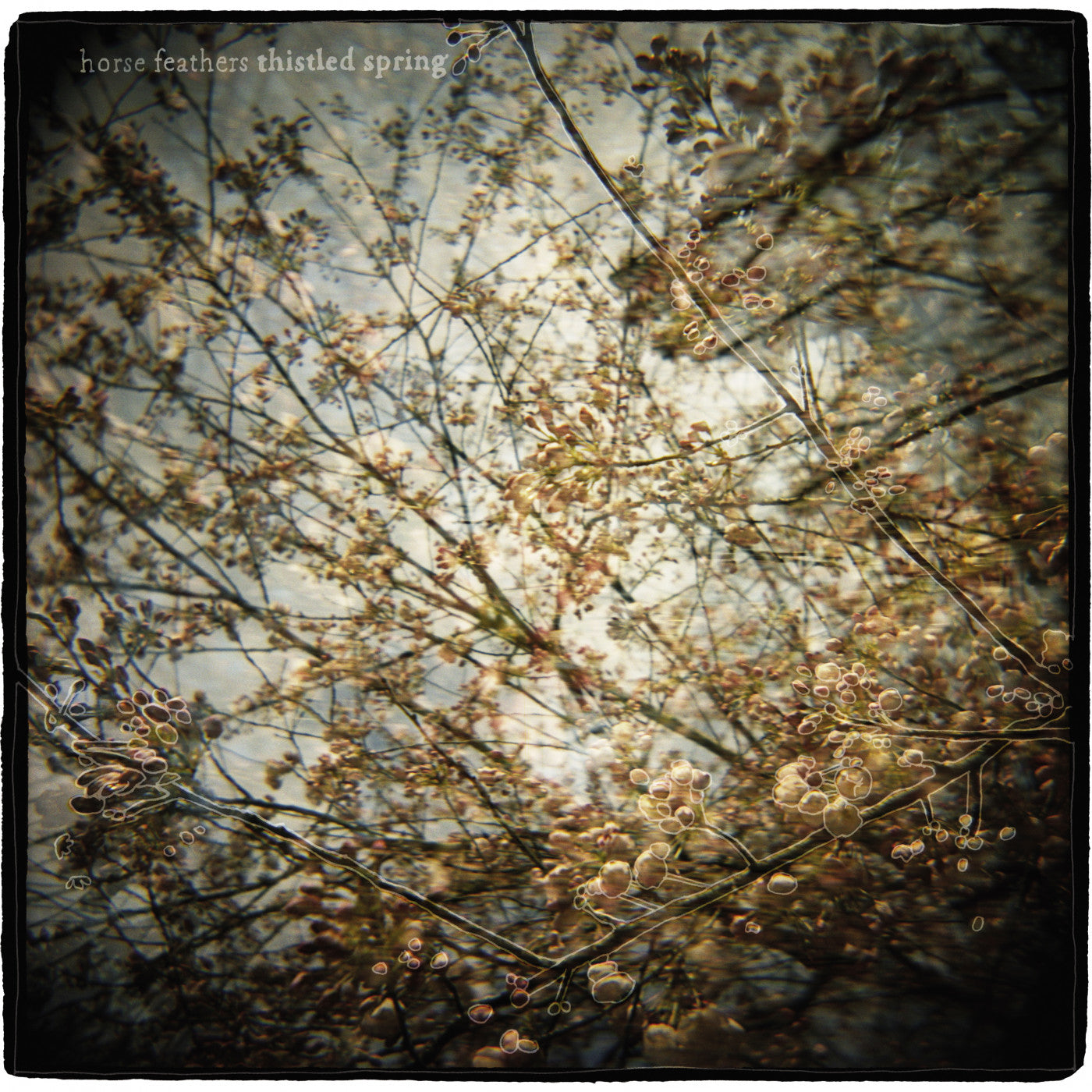 Horse Feathers - Thistled Spring LP (Vinyl) | Mint (M) Mint (M)-