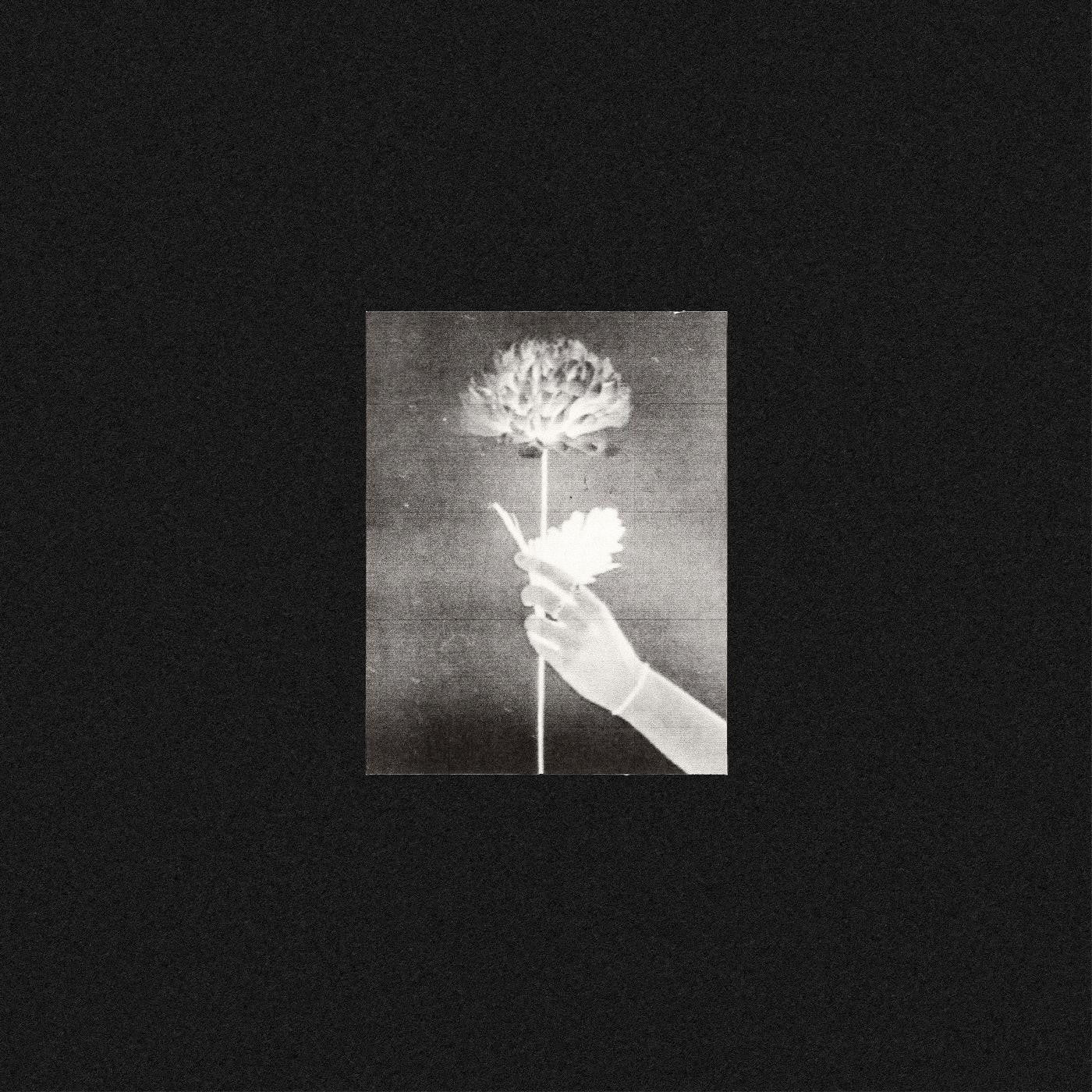 White Flowers - Day By Day (BLUE VINYL) |-