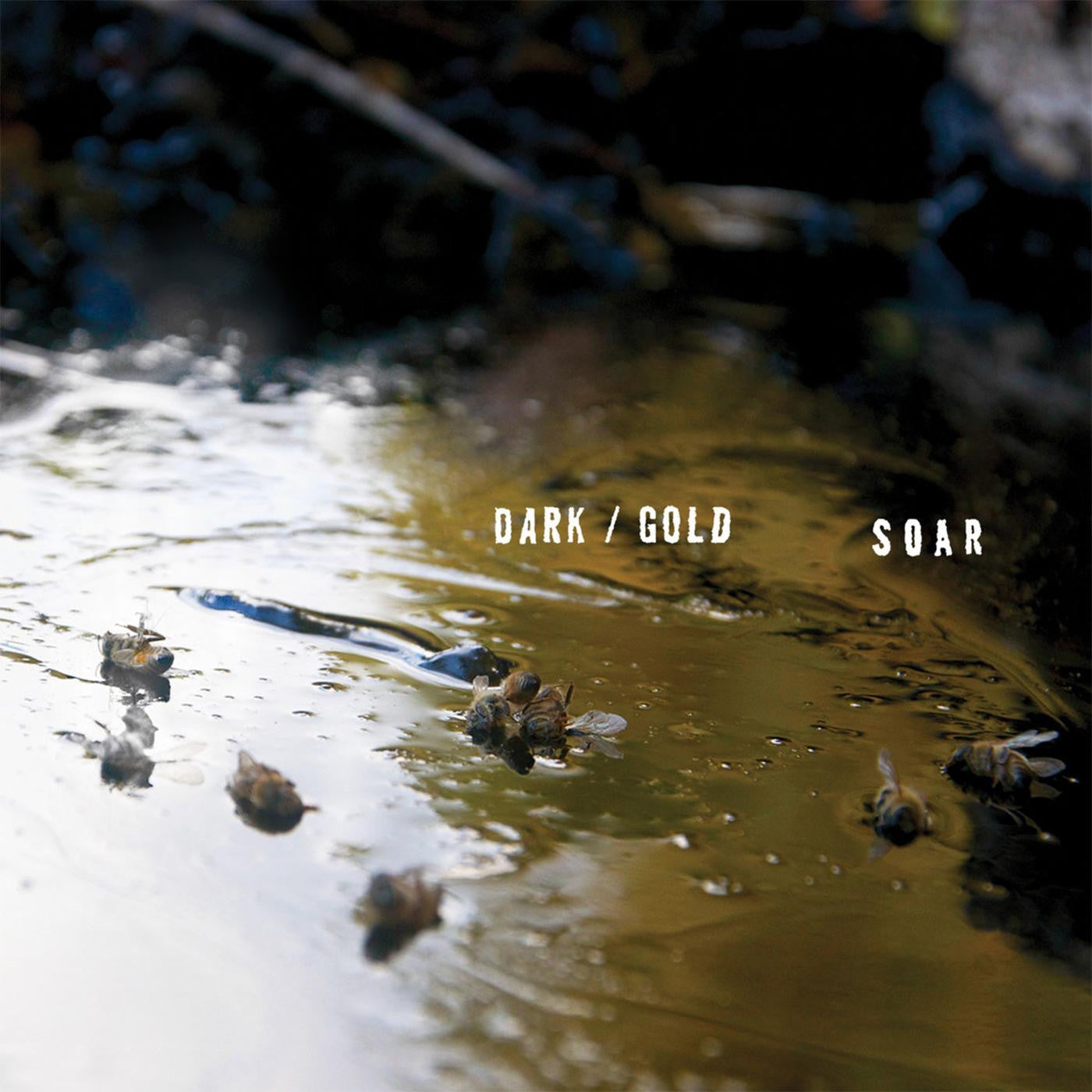 SOAR - dark / gold |-