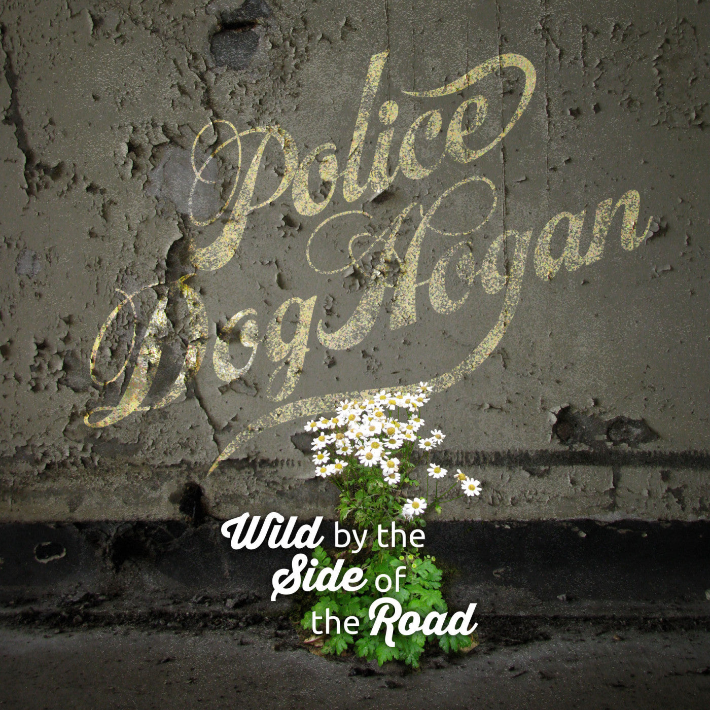 Police Dog Hogan - Wild By The Side Of The Road (Vinyl) | Mint (M) Mint (M)-