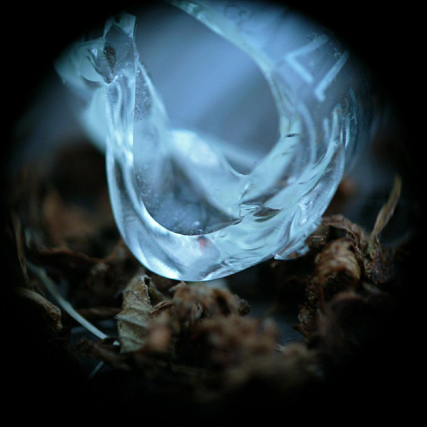 Ossicles - Mantelpiece (CD) |-
