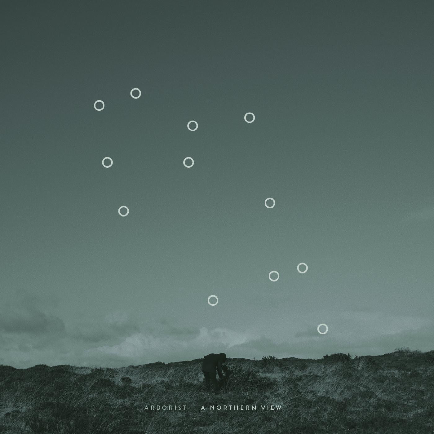 Arborist - A Northern View |-