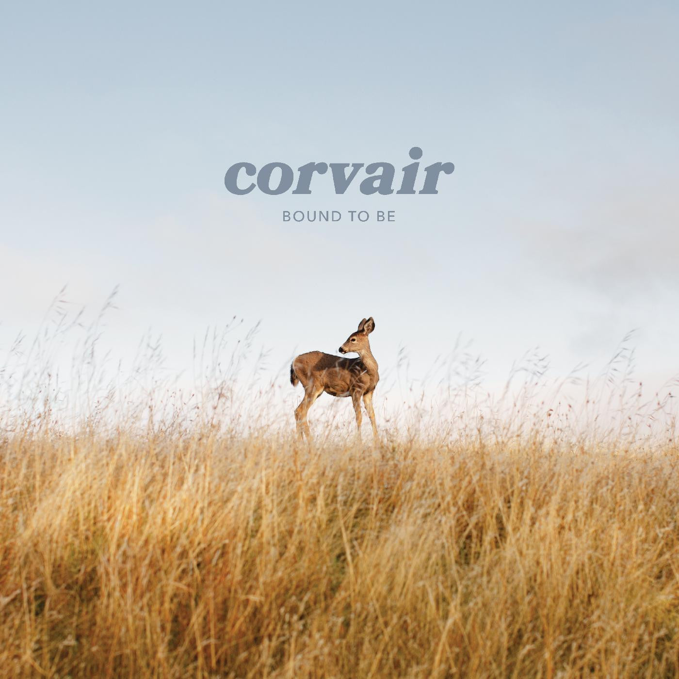 Corvair - Bound to be (CLEAR VINYL) (Vinyl) |-