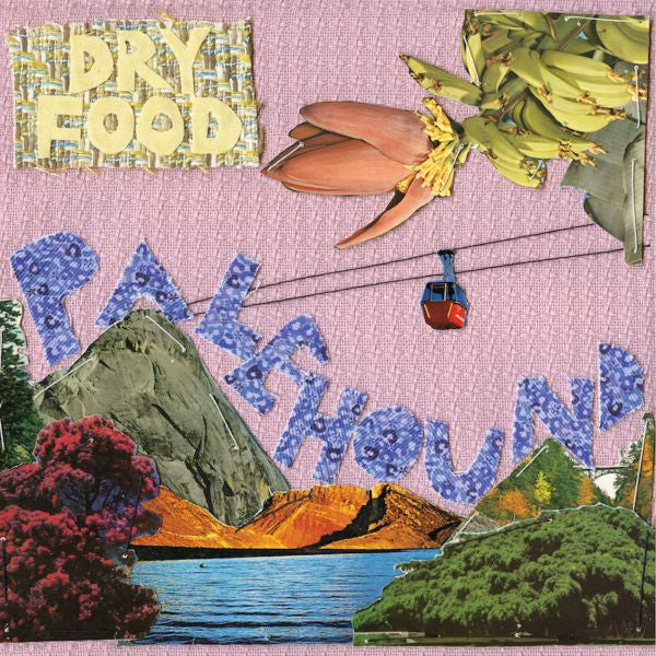Palehound - Dry Food (Vinyl) |-