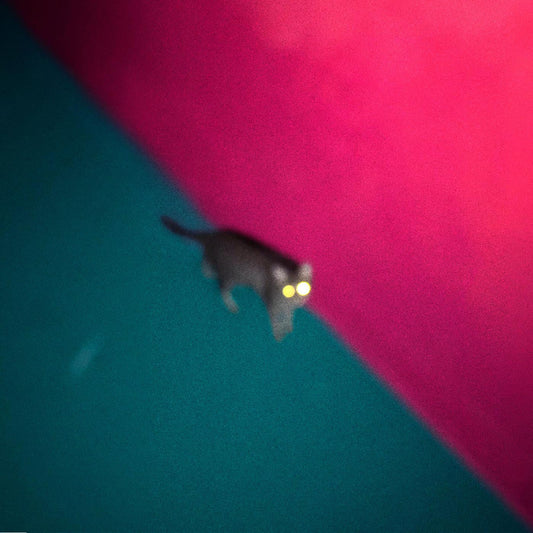 !!! (Chk Chk Chk) - Wallop (Vinyl) | Mint (M) Mint (M)-
