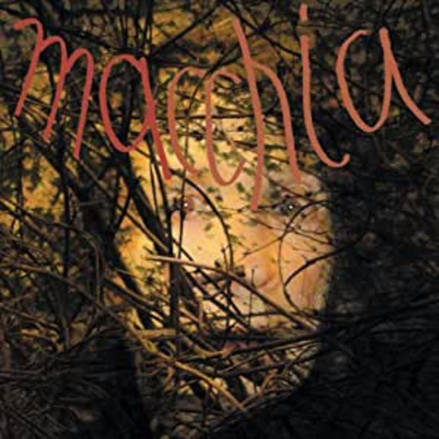 Fuchs/Heemann/Van Luijk - Macchia Forest (Vinyl) | Mint (M) Mint (M)-