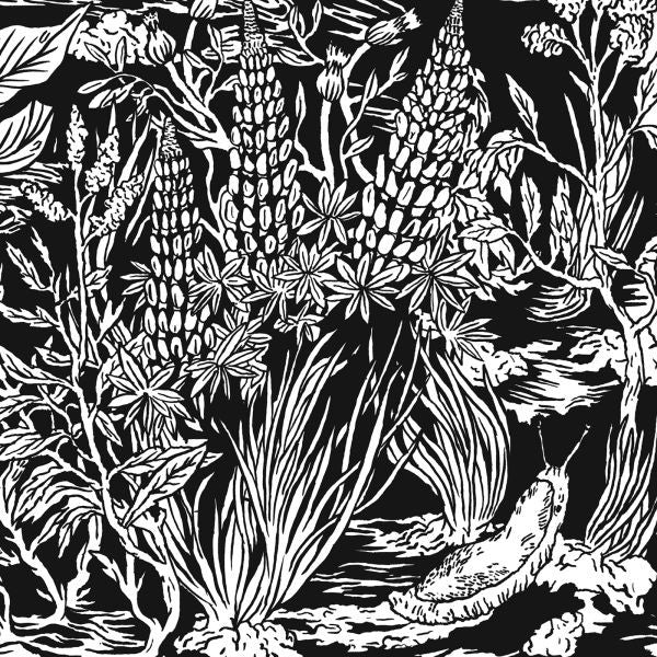 Eternal Tapestry - Wild Strawberries (CD) | Mint (M) Mint (M)-