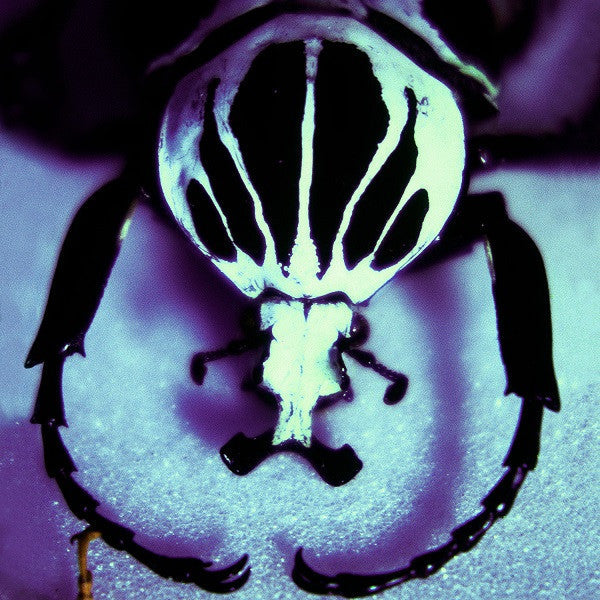 Age of Electric, The - Make A Pest A Pet (Vinyl) |-