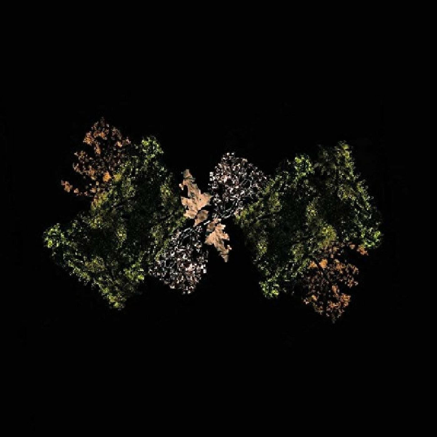 Woodsman - Woodsman (LEMON LIME VINYL) |-