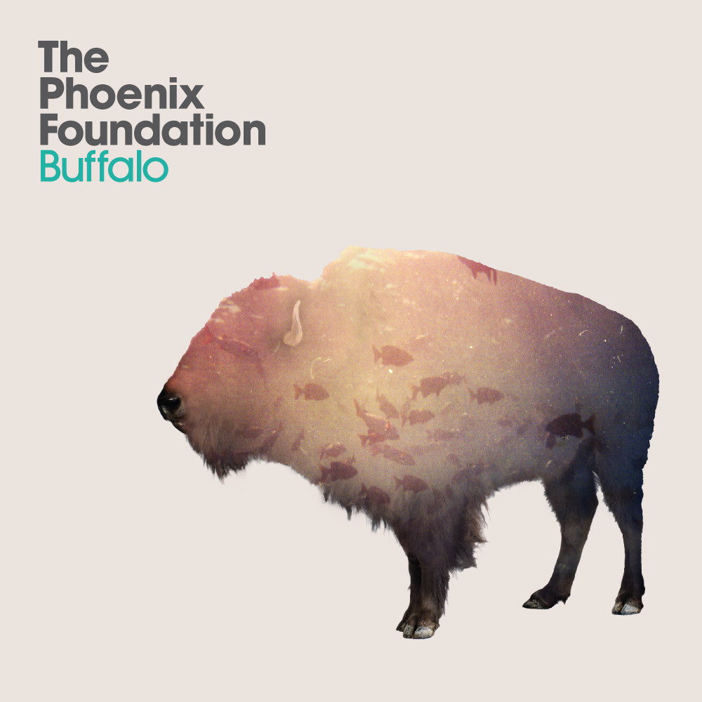 Phoenix Foundation, The - Buffalo (CD) |-