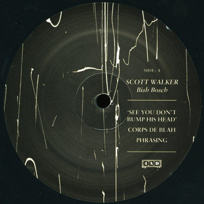 Scott Walker - Bish Bosch (2xVINYL) | Mint (M) Mint (M)-