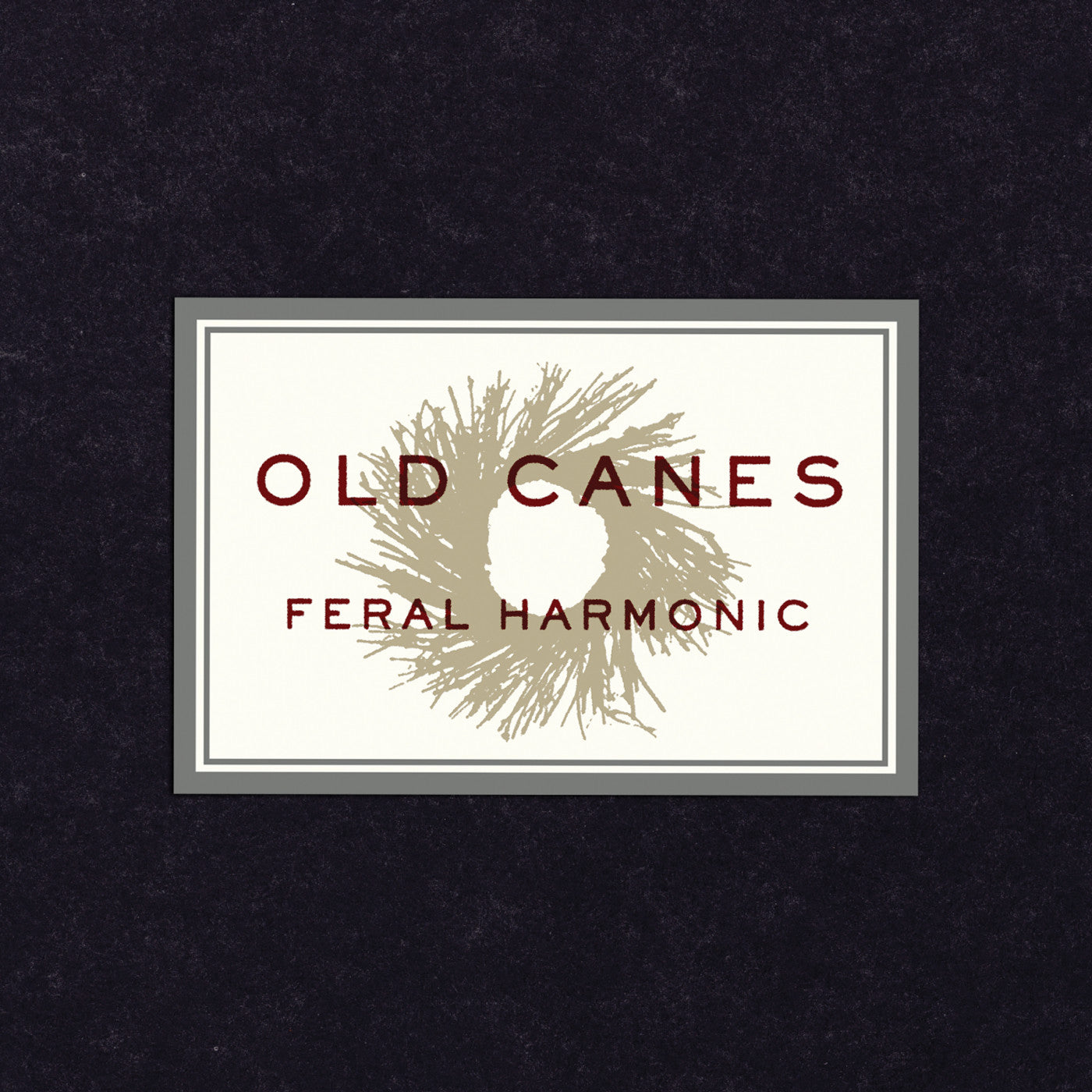 Old Canes - Feral Harmonic (CD) | Mint (M) Mint (M)-