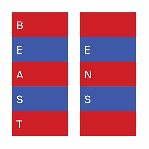 BEAST - Ens (VINYL) |-
