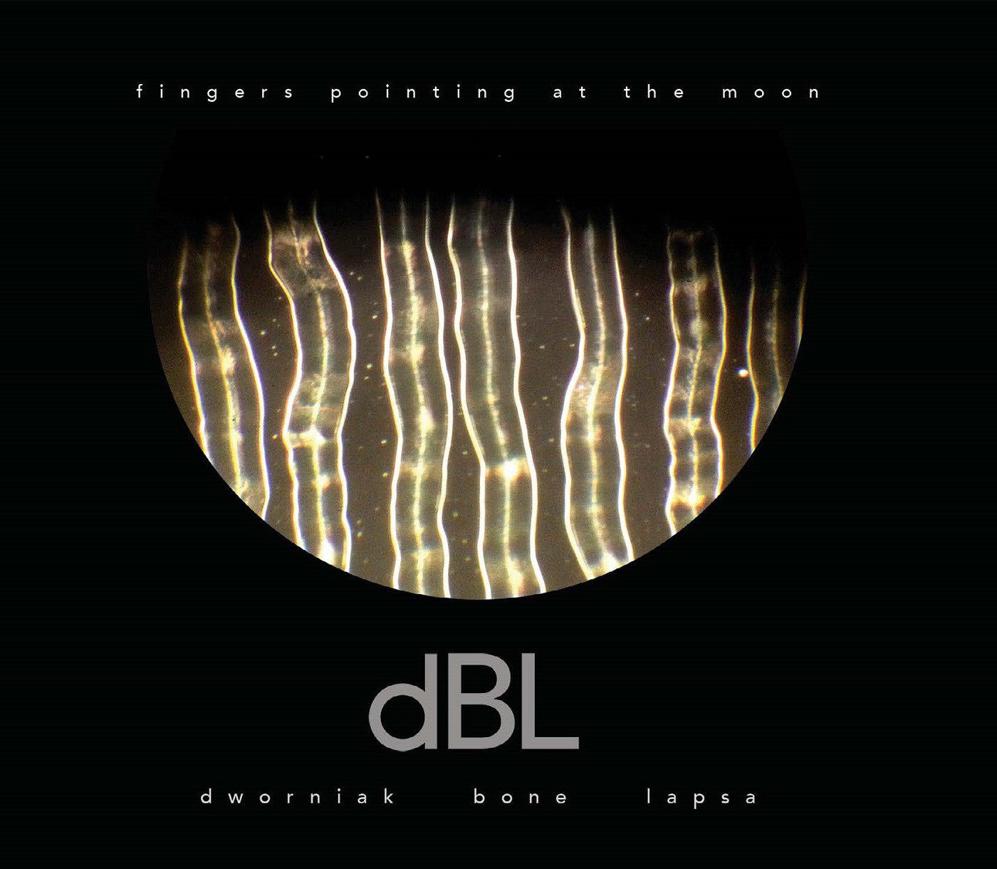 Dworniak Bone Lapsa - Fingers Pointing At The Moon (CD) | Mint Mint-