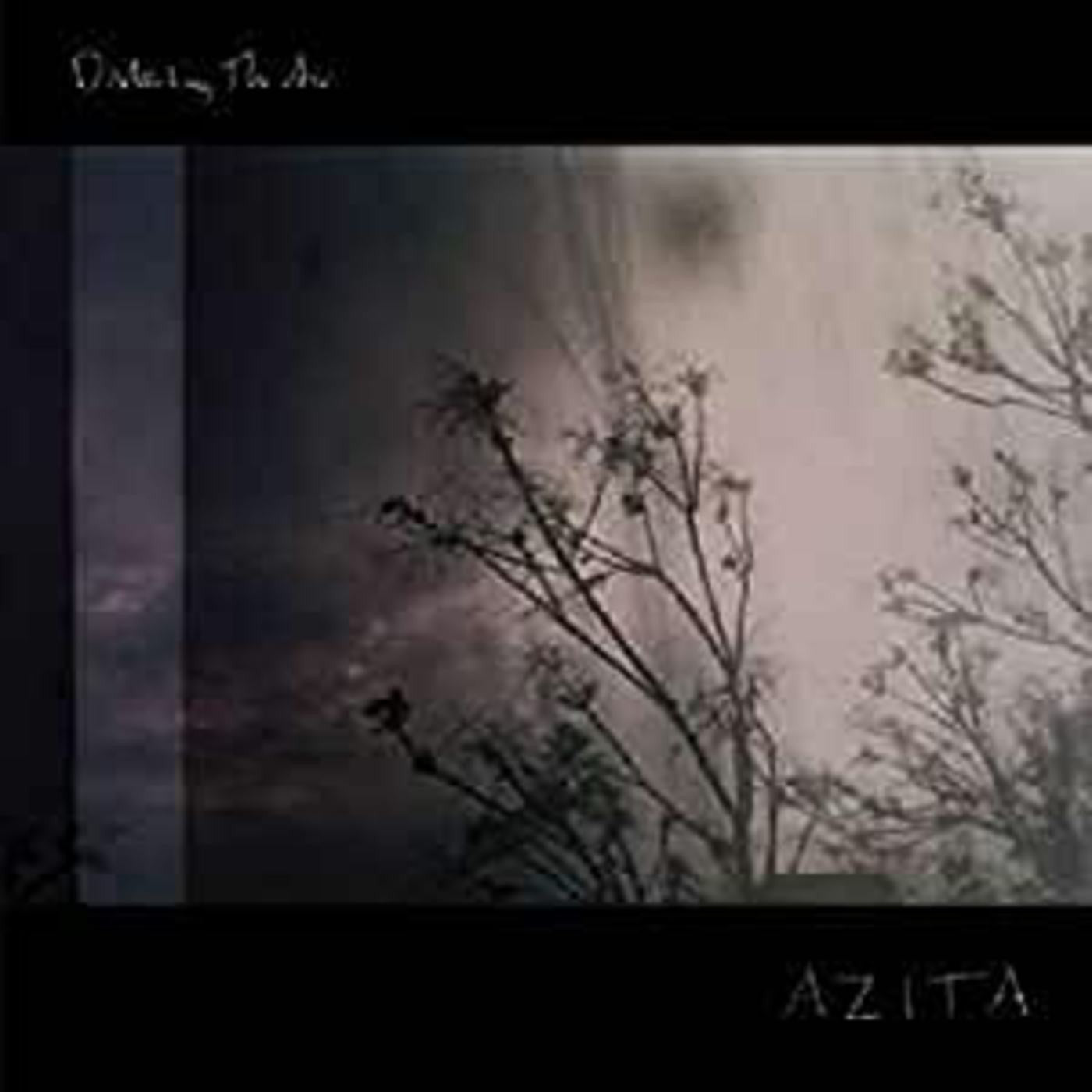 AZITA - Disturbing the Air (Vinyl) |-