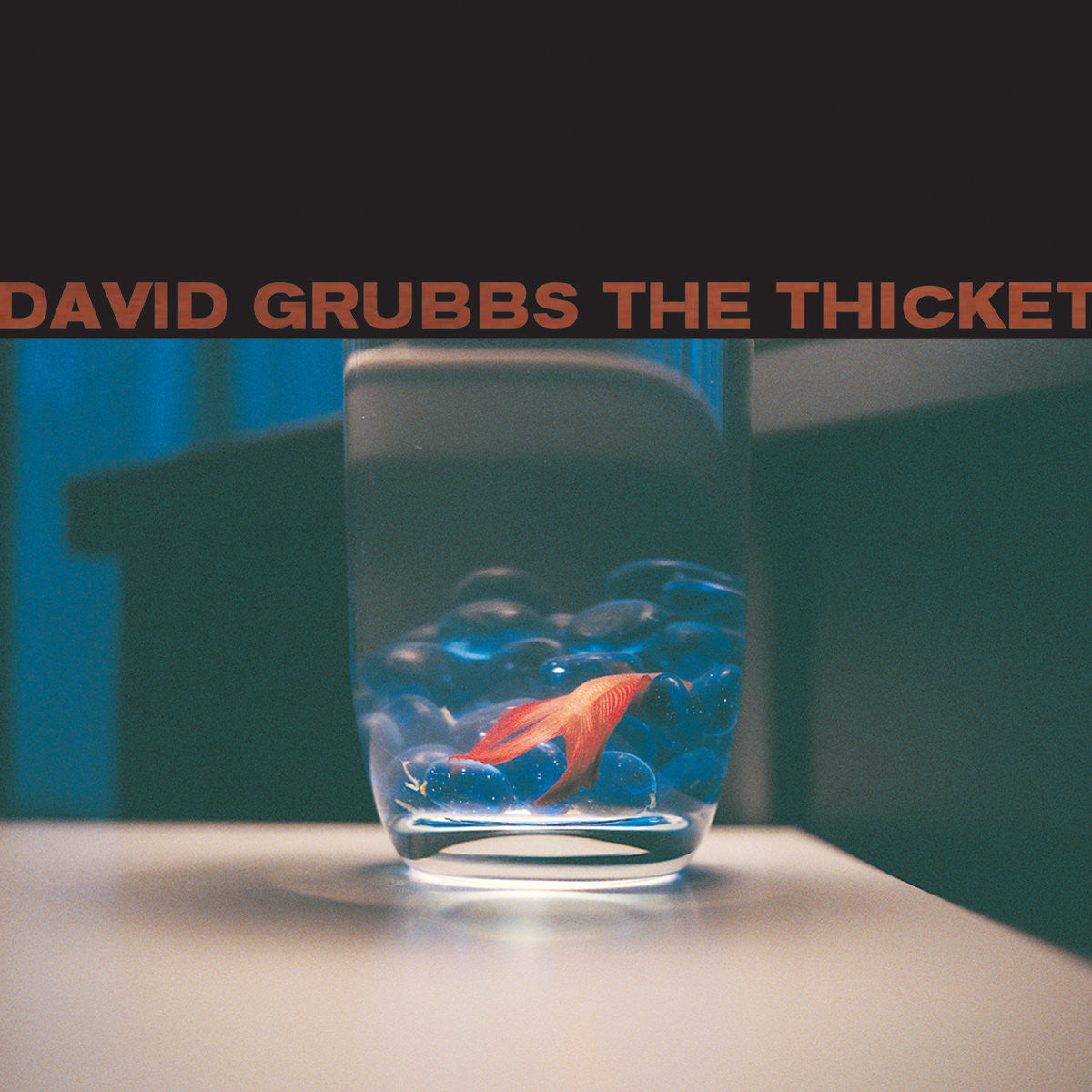 Grubbs, David - The Thicket (CD) |-