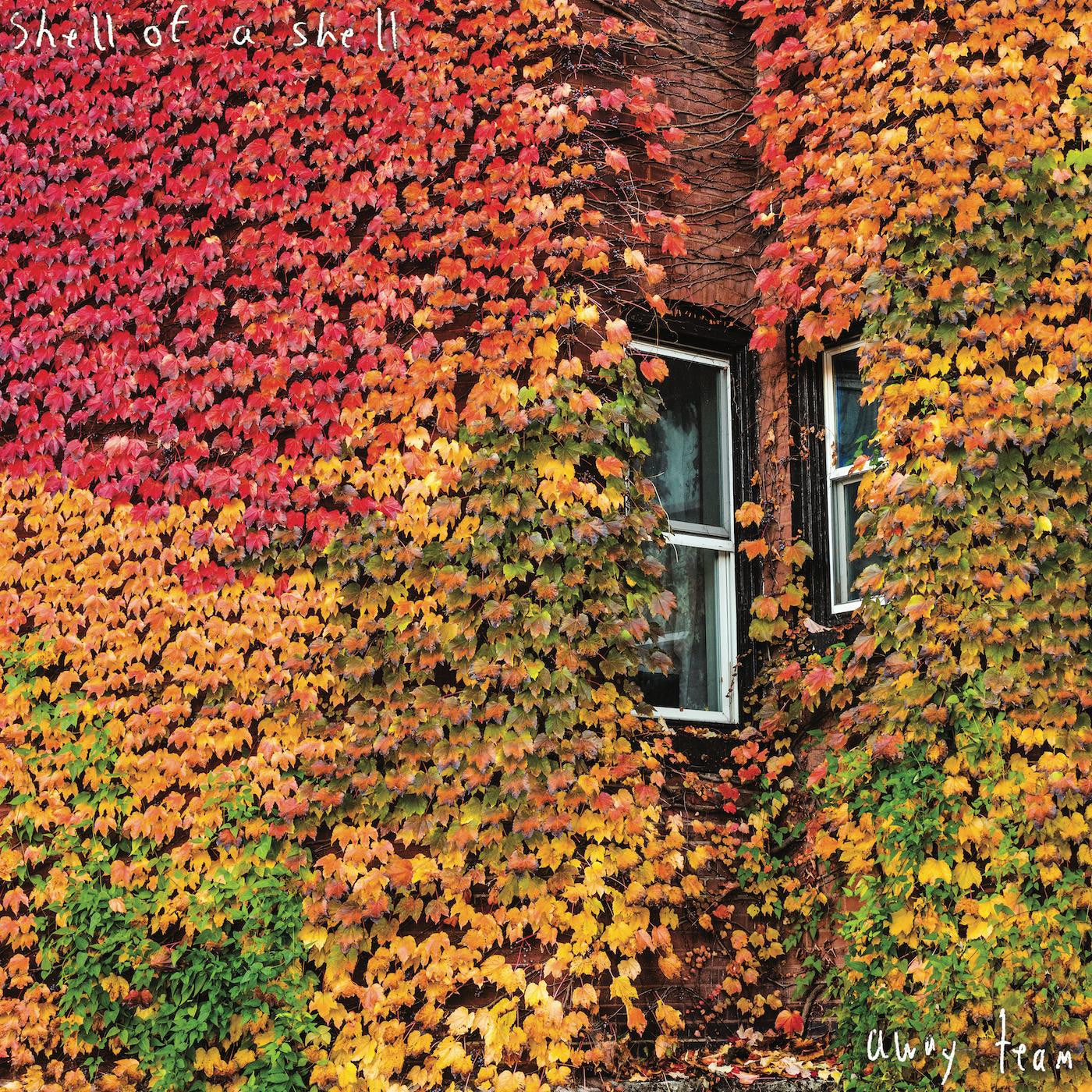 Shell of a Shell - Away Team (Vinyl) | Mint (M) Mint (M)-