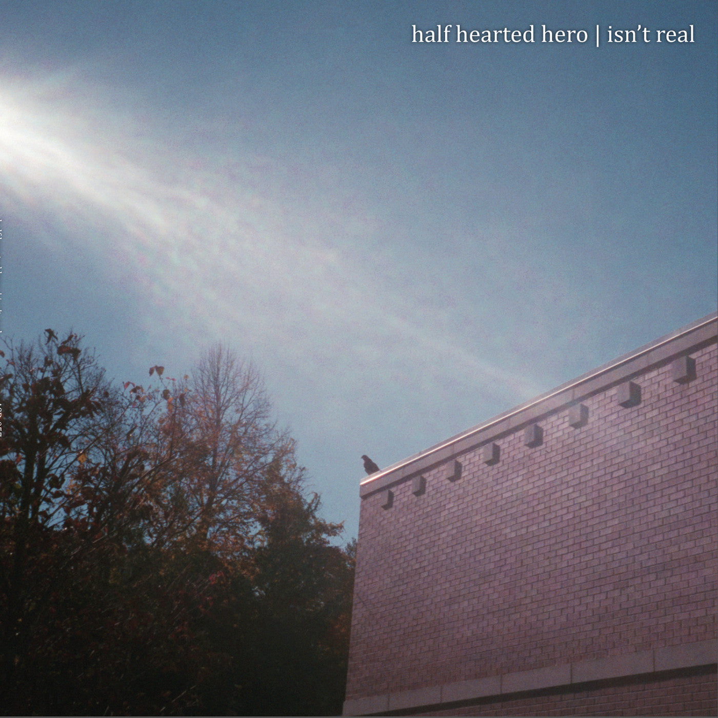 Half Hearted Hero - Isn't Real (Vinyl) | Mint (M) Mint (M)-