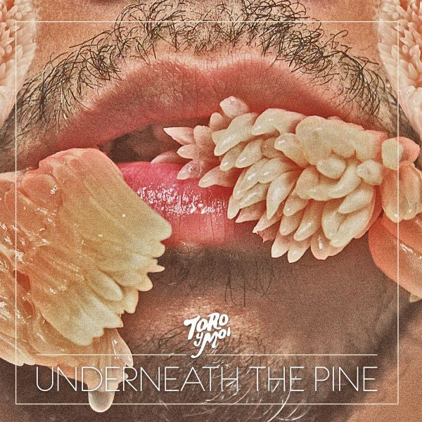 Toro y Moi - Underneath The Pine (CD) |-