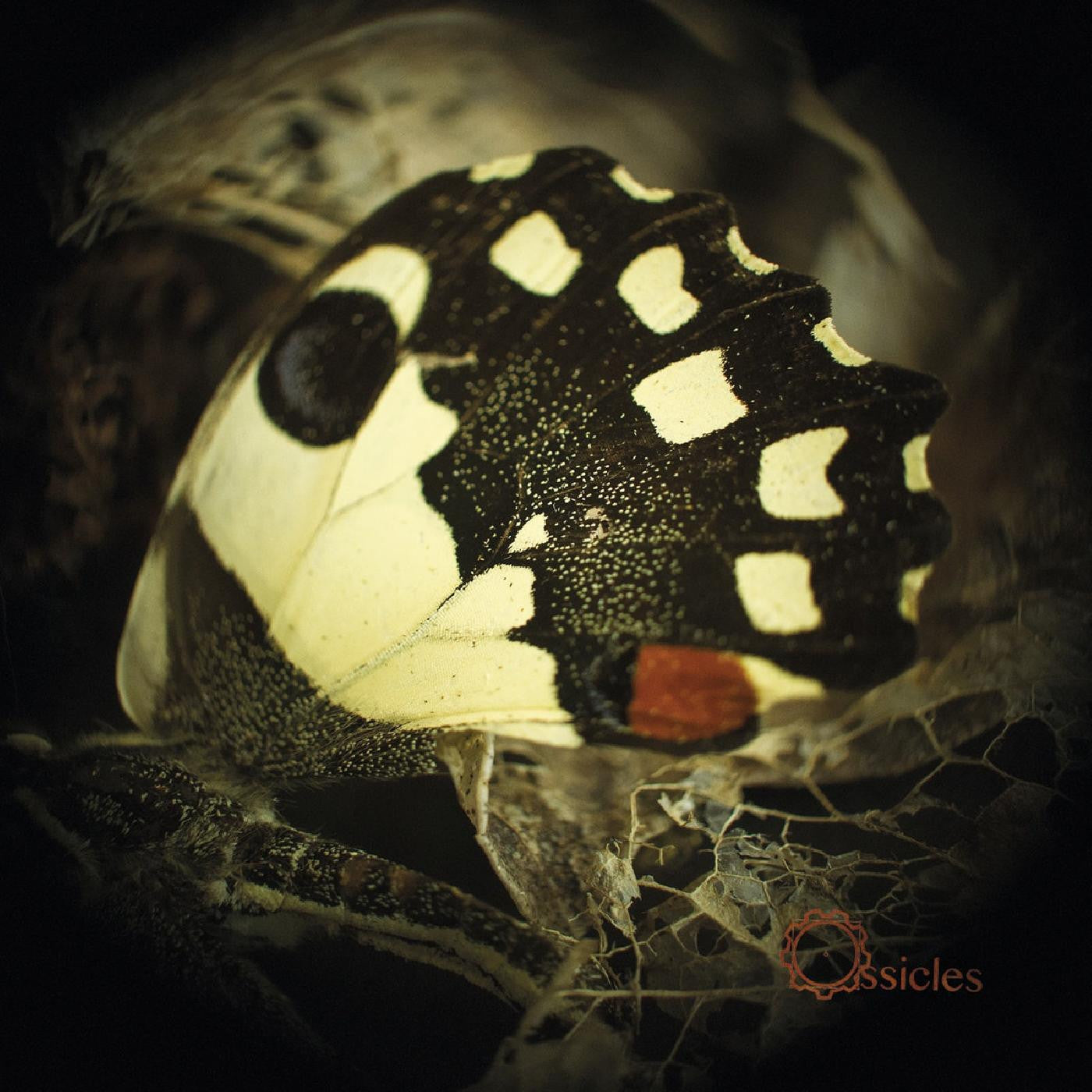 Ossicles - Music For Wastelands (CD) |-