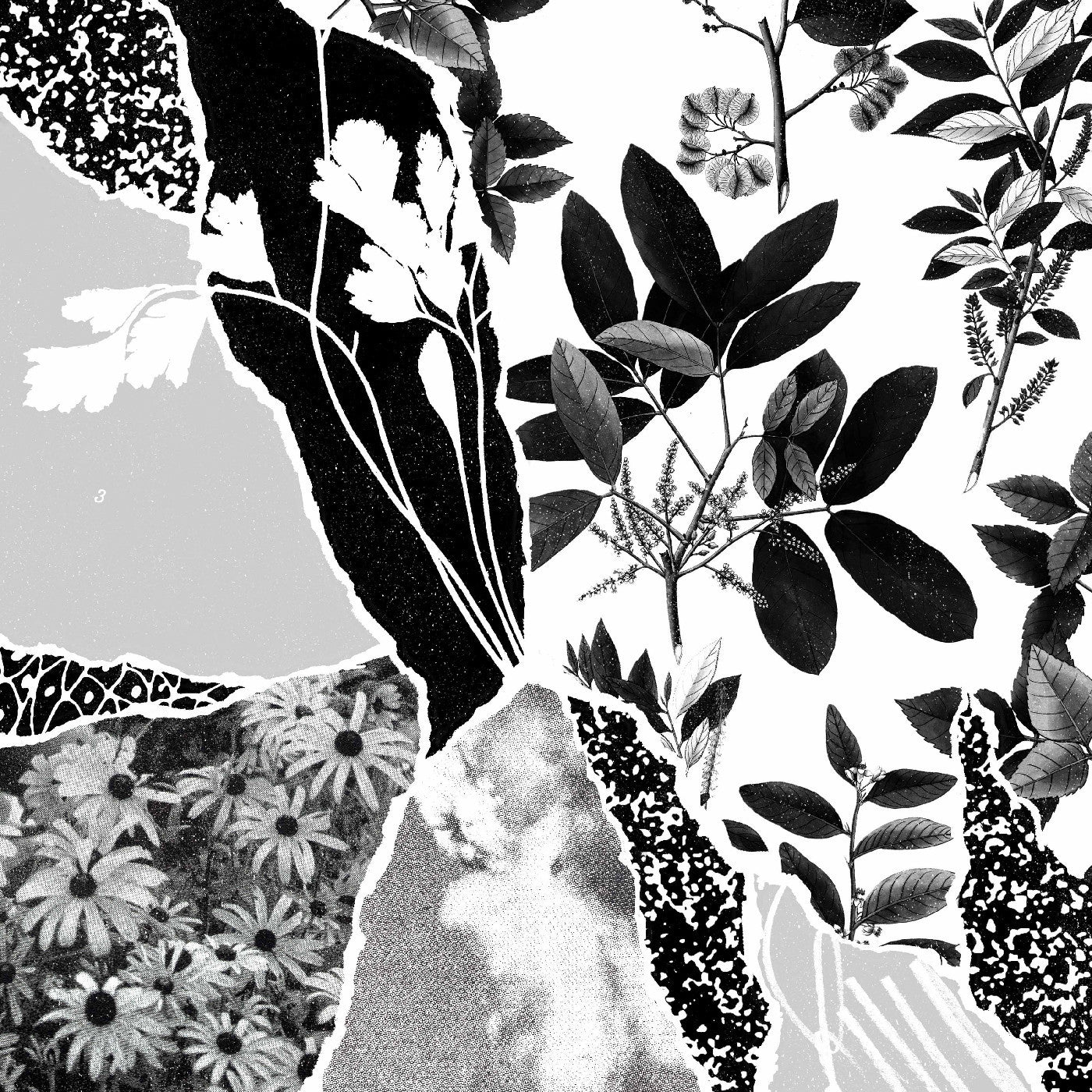 Ponctuation - Mon herbier du monde entier (CD) |-