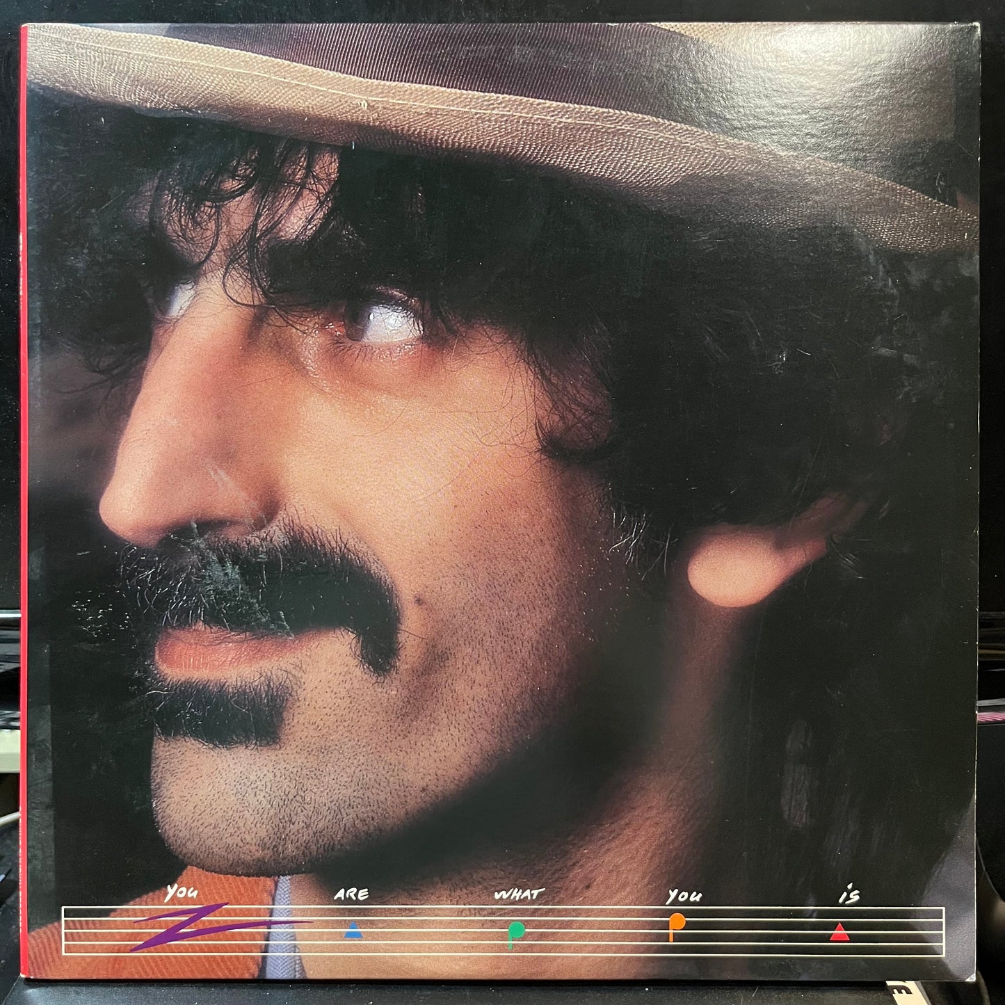 Frank Zappa - You Are What You Is (VINYL 2xLP BARKING PUMPKIN PW2 37537 1981) | Near Mint (NM or M-) Near Mint (NM)-
