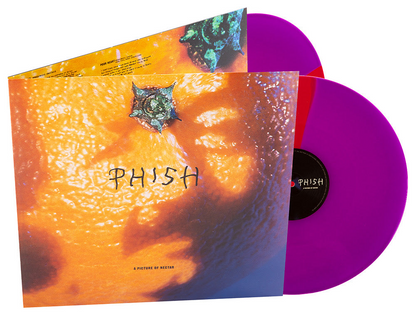 A Picture Of Nectar (B&M EXCLUSIVE: GRAPE APPLE PIE VINYL) | Mint (M) Mint (M)-