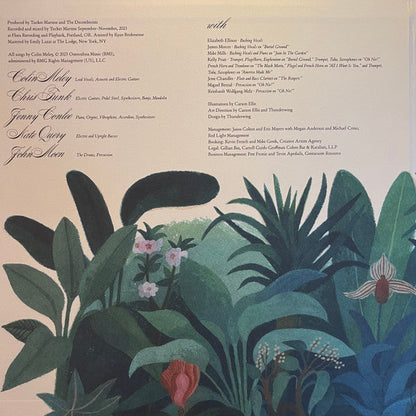 As It Ever Was, So It Will Be Again (IEX: FRUIT PUNCH VINYL) | Mint (M) Mint (M)-