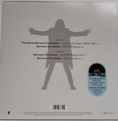 David Gilmour - Between Two Points (2025 RSD COLOR VINYL) | Mint (M) Mint (M)-