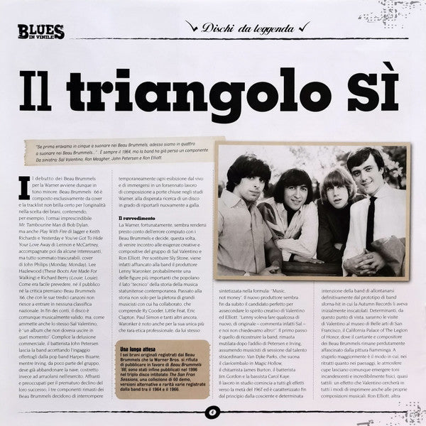 Triangle (VINYL) |-