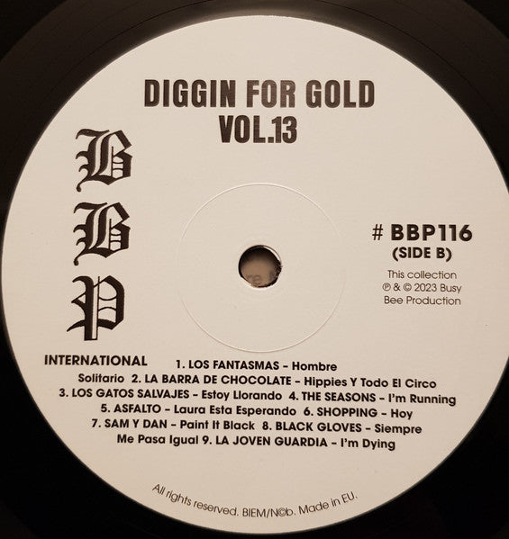 Various - Diggin' For Gold Vol 13 (A Collection Of Demented 60' R&B/Punk & Mesmerizing Pop.) | Mint (M) Mint (M)-