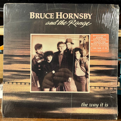The Way It Is (VINYL) | Mint (M) Excellent (EX)-