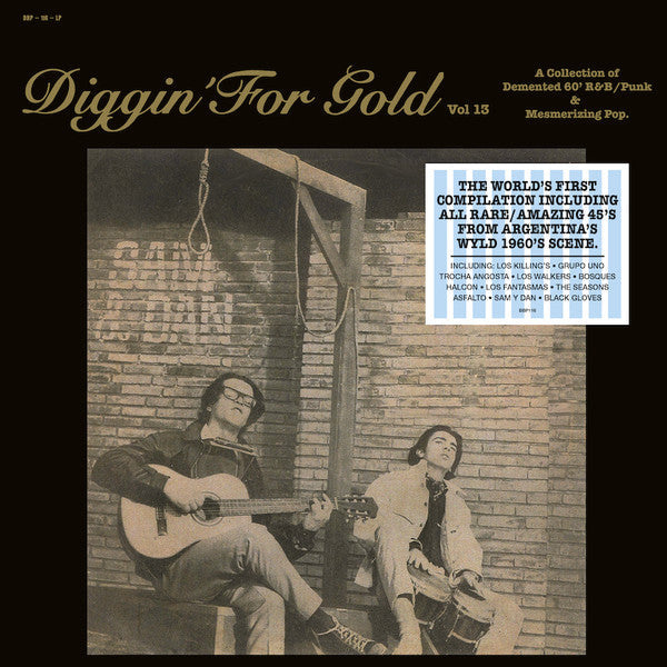 Various - Diggin' For Gold Vol 13 (A Collection Of Demented 60' R&B/Punk & Mesmerizing Pop.) | Mint (M) Mint (M)-