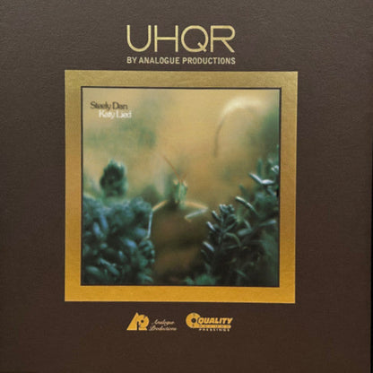 Katy Lied (AARP VINYL BOX SET) | Mint (M) Mint (M)-