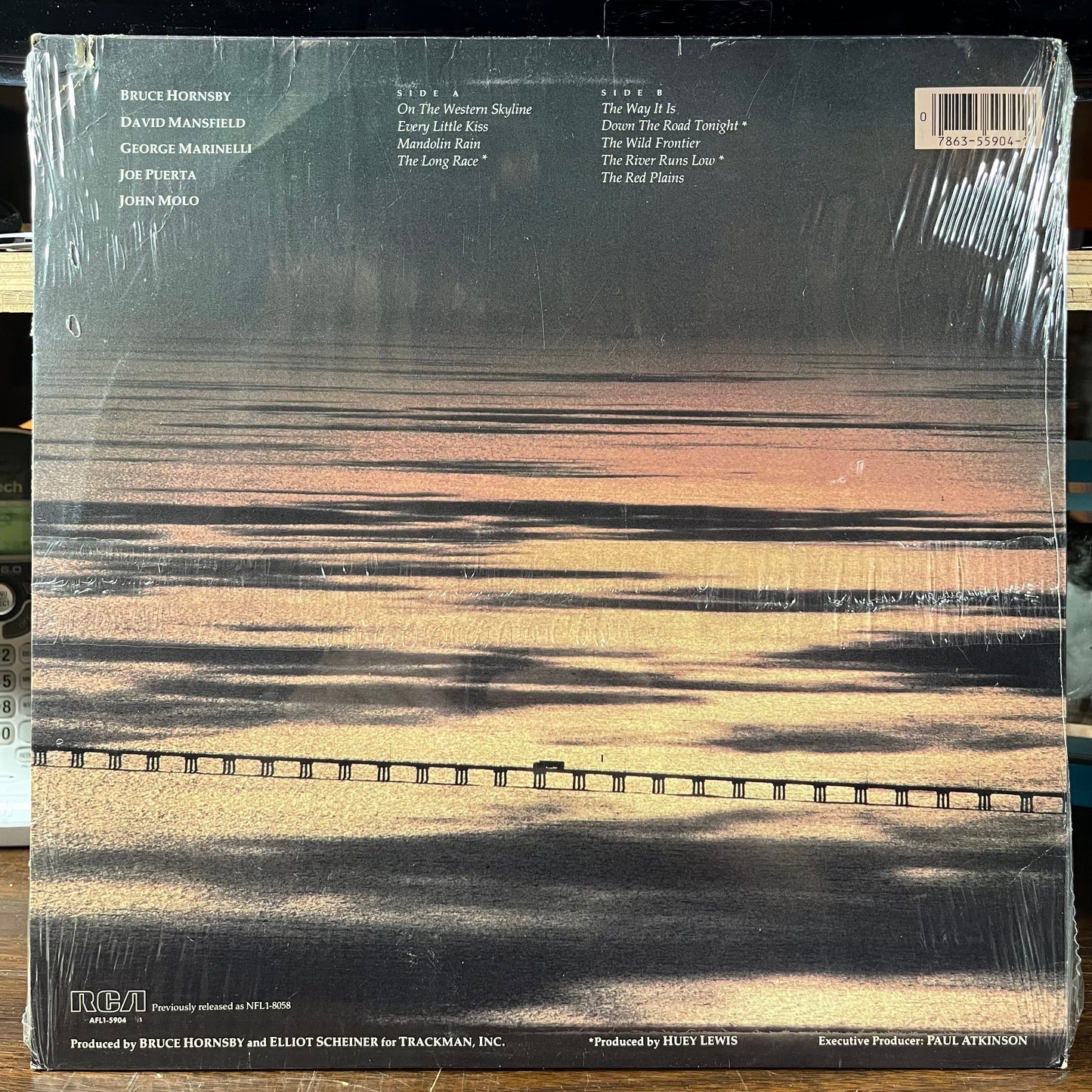 The Way It Is (VINYL) | Mint (M) Excellent (EX)-