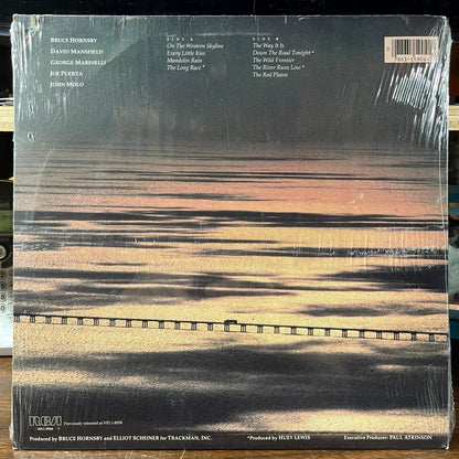 The Way It Is (VINYL) | Mint (M) Excellent (EX)-